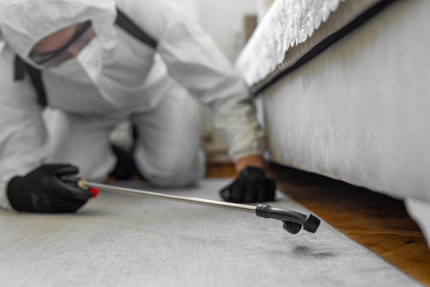 Professional Termite Control technician working in Drew County County, AR